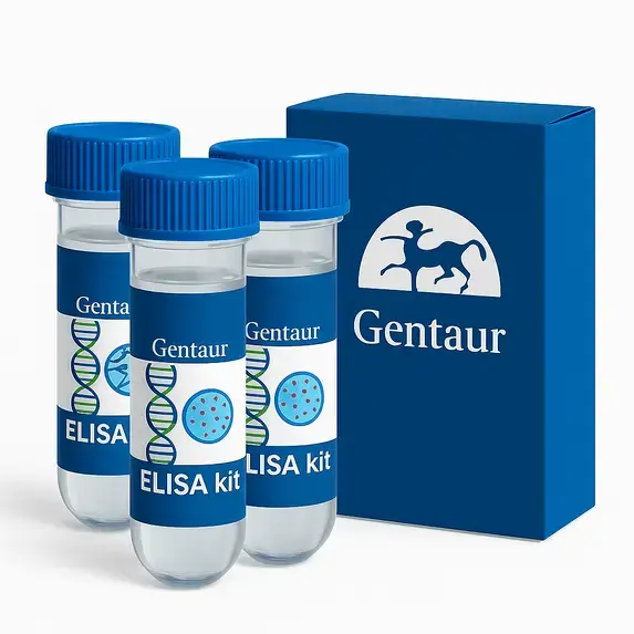 ELISA  Recombinant Yersinia pseudotuberculosis serotype O:1b NADH-quinone oxidoreductase subunit K(nuoK)