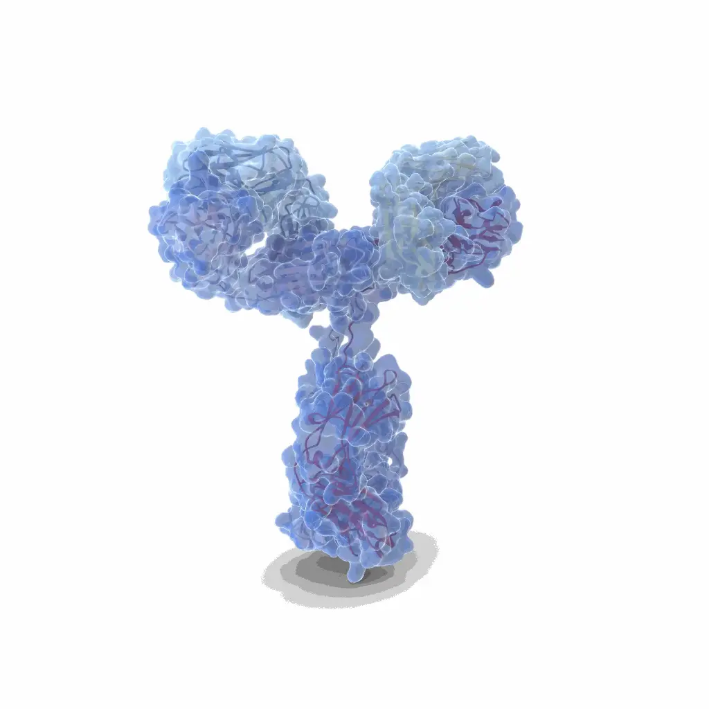 Phospho- hnRPD (Ser83)  Antibody